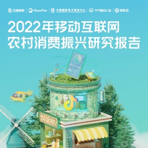 2022年移动互联网农村消费振兴研究报告