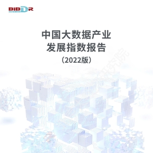 中国大数据产业发展指数报告（2022版）
