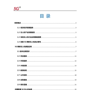 中國聯(lián)通 5G 網(wǎng)聯(lián)無人機白皮書