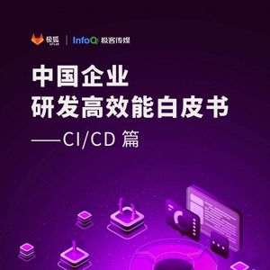 ：2023中国企业研发高效能白皮书CI&CD篇