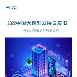 2022中国大模型发展白皮书