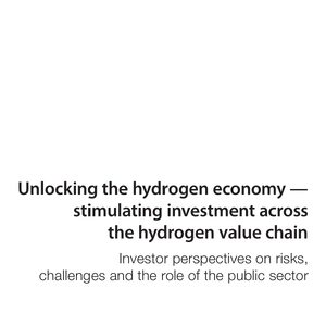 开启氢经济——刺激整个氢价值链的投资(英文版)