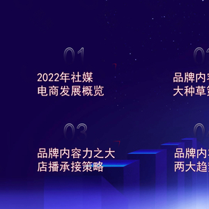2023年社媒電商下品牌的破圈之路