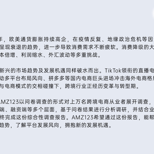 2022跨境電商年度報告