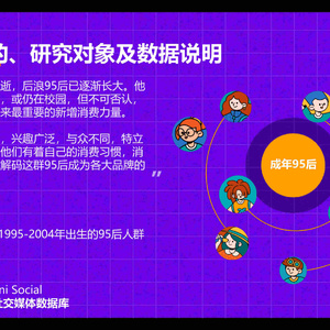 成年95后消費(fèi)趨勢(shì)研究-快樂(lè)星球人，氪金新趨勢(shì)