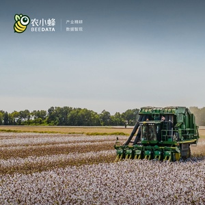 農(nóng)小蜂：2023年中國棉花產(chǎn)業(yè)數(shù)據(jù)分析報(bào)告