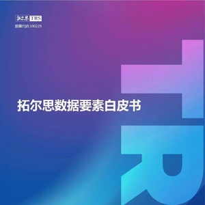 拓爾思數(shù)據(jù)要素白皮書