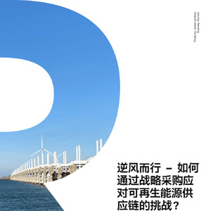 逆風(fēng)而行 – 如何通過(guò)戰(zhàn)略采購(gòu)應(yīng)對(duì)可再生能源供應(yīng)鏈