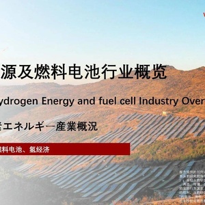 头豹：2022年中国氢能源及燃料电池行业概览