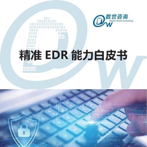 数世咨询：精准EDR能力白皮书