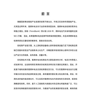 燃料电池检测产业蓝皮书(2023)