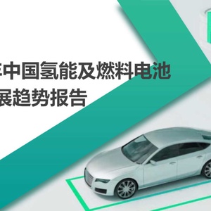 赛瑞研究：2022年中国氢能及燃料电池产业发展趋势报告