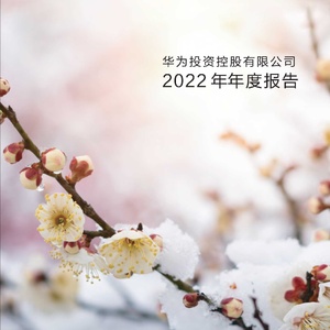 华为：145页华为公司2022年年度报告