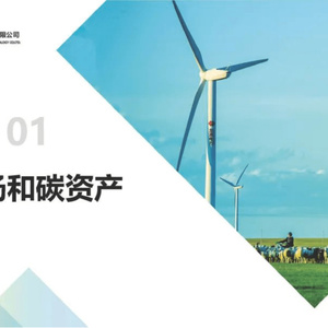 碳排放及碳资产管理经验分享