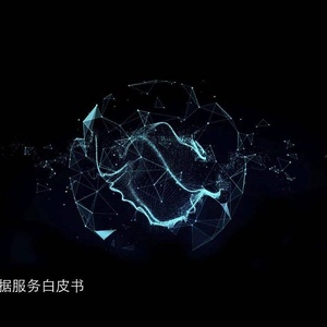 德勤：2023人工智能基础数据服务白皮书