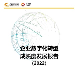 点亮智库：企业数字化转型成熟度发展报告（2022年）