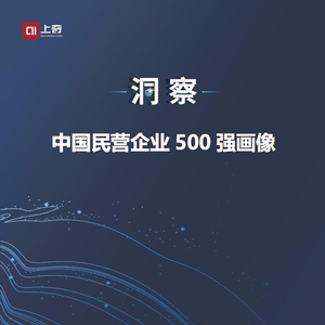 上奇研究院：2023年中国民营企业500强画像