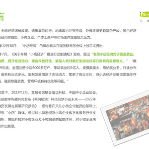 2022年小微融资发展与展望研究报告
