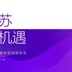 DATA100：2023消费趋势洞察报告-复苏与机遇