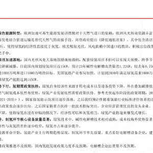 氢能行业：地缘政治加速绿色能源转型