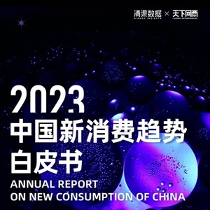清渠数据&天下网商：2023中国新消费趋势白皮书
