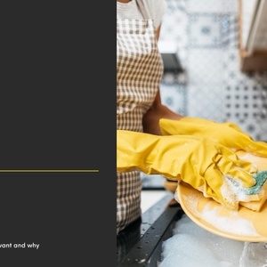 英敏特：2023中国洗碗产品市场报告