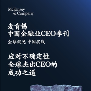 麦肯锡：2023年中国金融业CEO季刊
