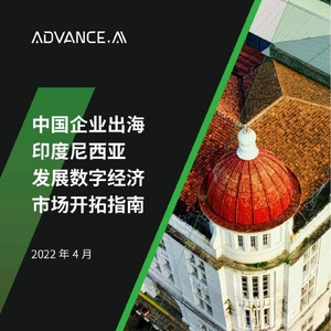 ADVANCE.AI：中国企业出海印度尼西亚发展数字经济市场开拓指南 ...