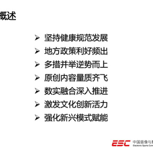 2022年中国电竞产业报告