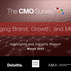 德勤：2023年全球CMO调查报告