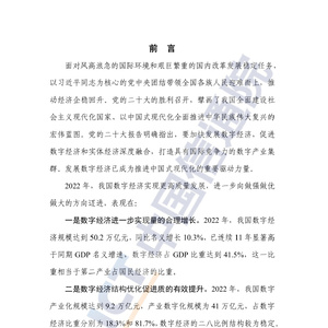 中国数字经济发展研究报告(2023年)