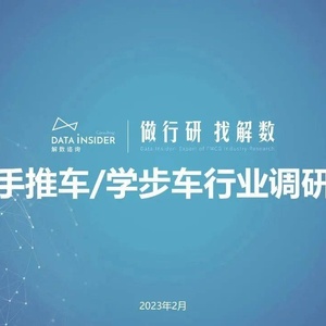解数咨询：婴儿手推车学步车行业调研报告