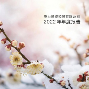 华为：华为公司2022年年度报告