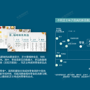 2023年芝士味咸味零食洞察报告