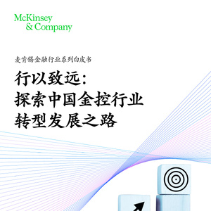行以致远： 探索中国金控行业转型发展之路