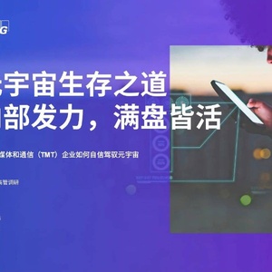 毕马威：元宇宙生存之道内部发力，满盘皆活