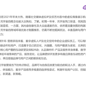 风口渐退爆款突围-元宇宙社交营销手册