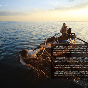 长江生命力报告2022