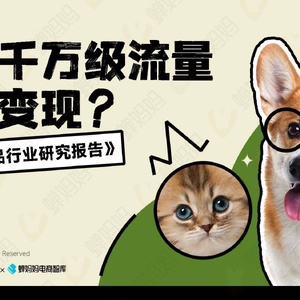 ：蝉妈妈：2023抖音宠物用品行业研究报告