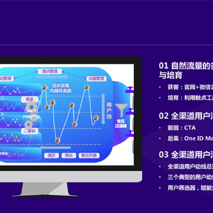 全渠道运营解决方案-自然流量篇