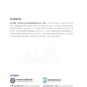 中国电力企业低碳转型实践研究报告2022