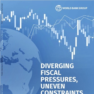 世界銀行：2029年全球政府衛(wèi)生支出展望