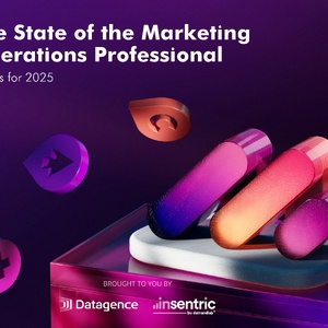 2025年?duì)I銷運(yùn)營專業(yè)人士報(bào)告