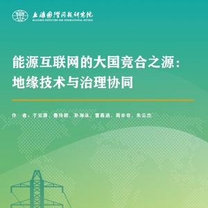 SIIS：2024年能源互聯(lián)網(wǎng)的大國(guó)競(jìng)合之源：地緣技術(shù)與治理協(xié)同報(bào)告 ...