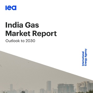 2030年印度天然氣市場報告