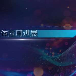 2025年工業(yè)大模型應(yīng)用報(bào)告