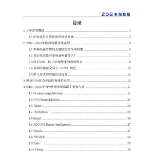 2025年歐洲儲(chǔ)能與VPP白皮書