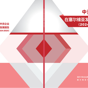 2024-2025年中資企業(yè)在塞爾維亞發(fā)展報(bào)告