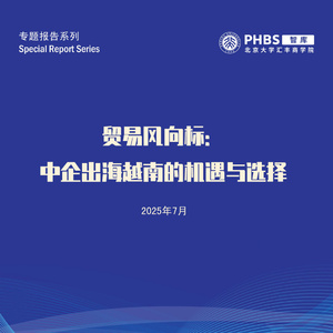 2025年中企出海越南機(jī)遇報(bào)告