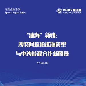 2025年沙特能源轉(zhuǎn)型與中沙合作報(bào)告